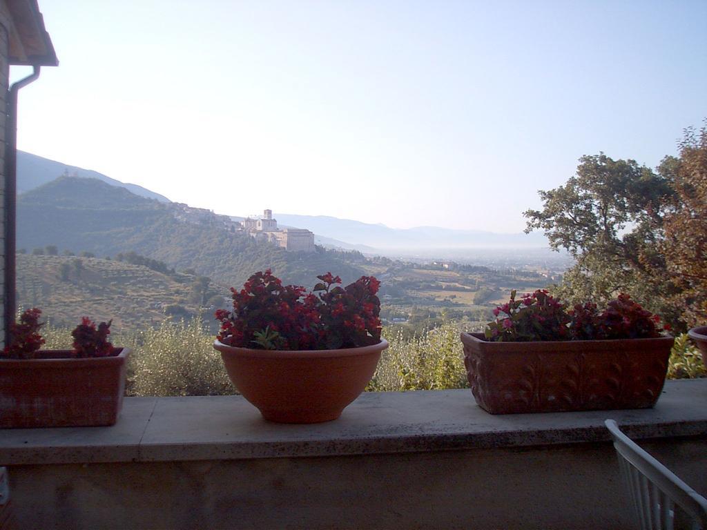 B&B Colle San Francesco Asyż Zewnętrze zdjęcie