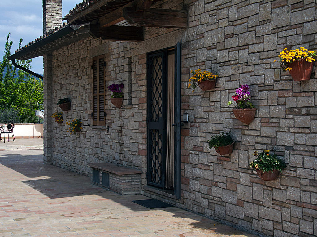 B&B Colle San Francesco Asyż Zewnętrze zdjęcie
