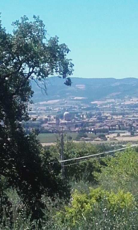 B&B Colle San Francesco Asyż Zewnętrze zdjęcie